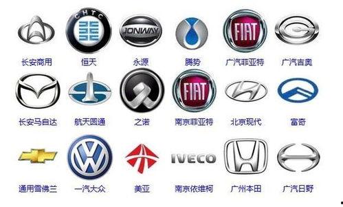 国产新车标视频