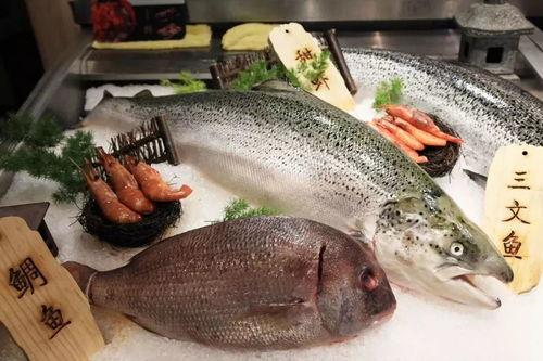 国产三文鱼最新视频,视频揭秘养殖全过程