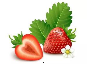 草莓视频三级国产三级