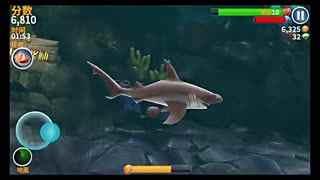 国产鲨鱼视频在线播放,在线观看，畅享视听盛宴