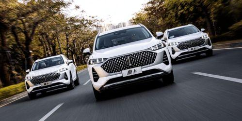 大佐开上国产车视频播放,大佐驾驶国产车视频引关注