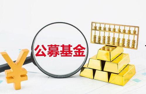 国产基金小视频推荐理由,揭秘投资新选择，轻松理财攻略