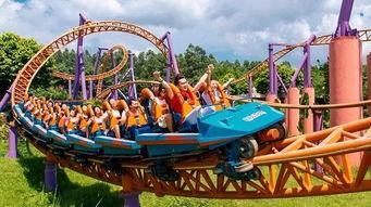 国产积木翻滚过山车视频,创意无限，惊险刺激的亲子时光