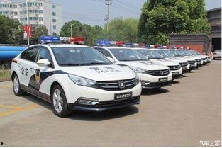 信阳国产警车事件视频最新,揭秘警车采购疑云与公众关注焦点