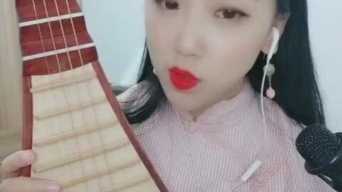 琵琶视频国产,传承与创新交织的乐章