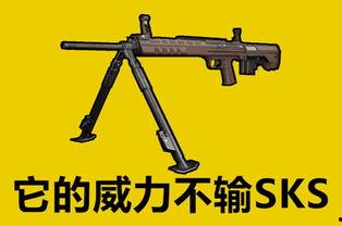 吃鸡国产神枪视频