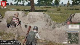 吃鸡国产神枪视频