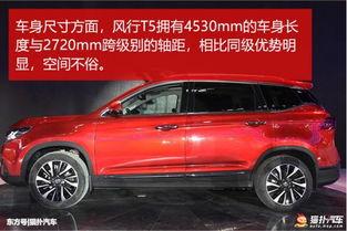 国产神车有刺耳声吗视频,真相与解决之道