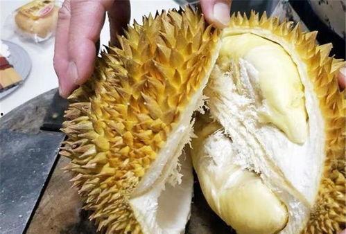 美国产不产榴莲肉呢视频,美国榴莲肉产自何方？揭秘美国榴莲肉来源之谜