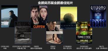 国产最新短片在线视频